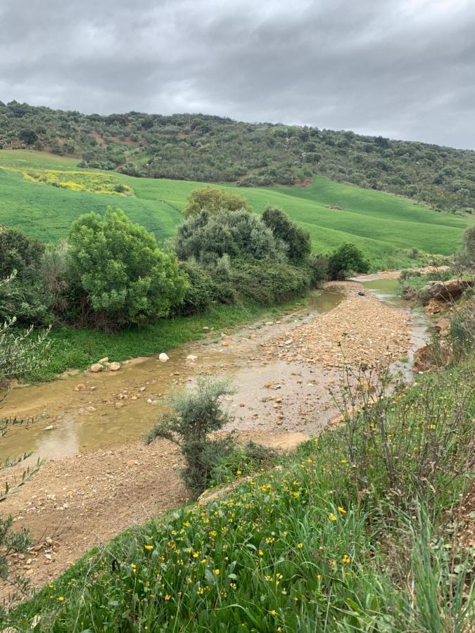 Cortijo El Alcornocal Villa Малага Екстериор снимка